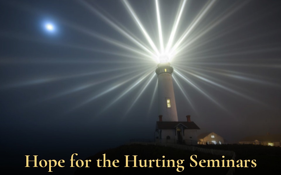 Hope for the Hurting Seminars website thumbnail